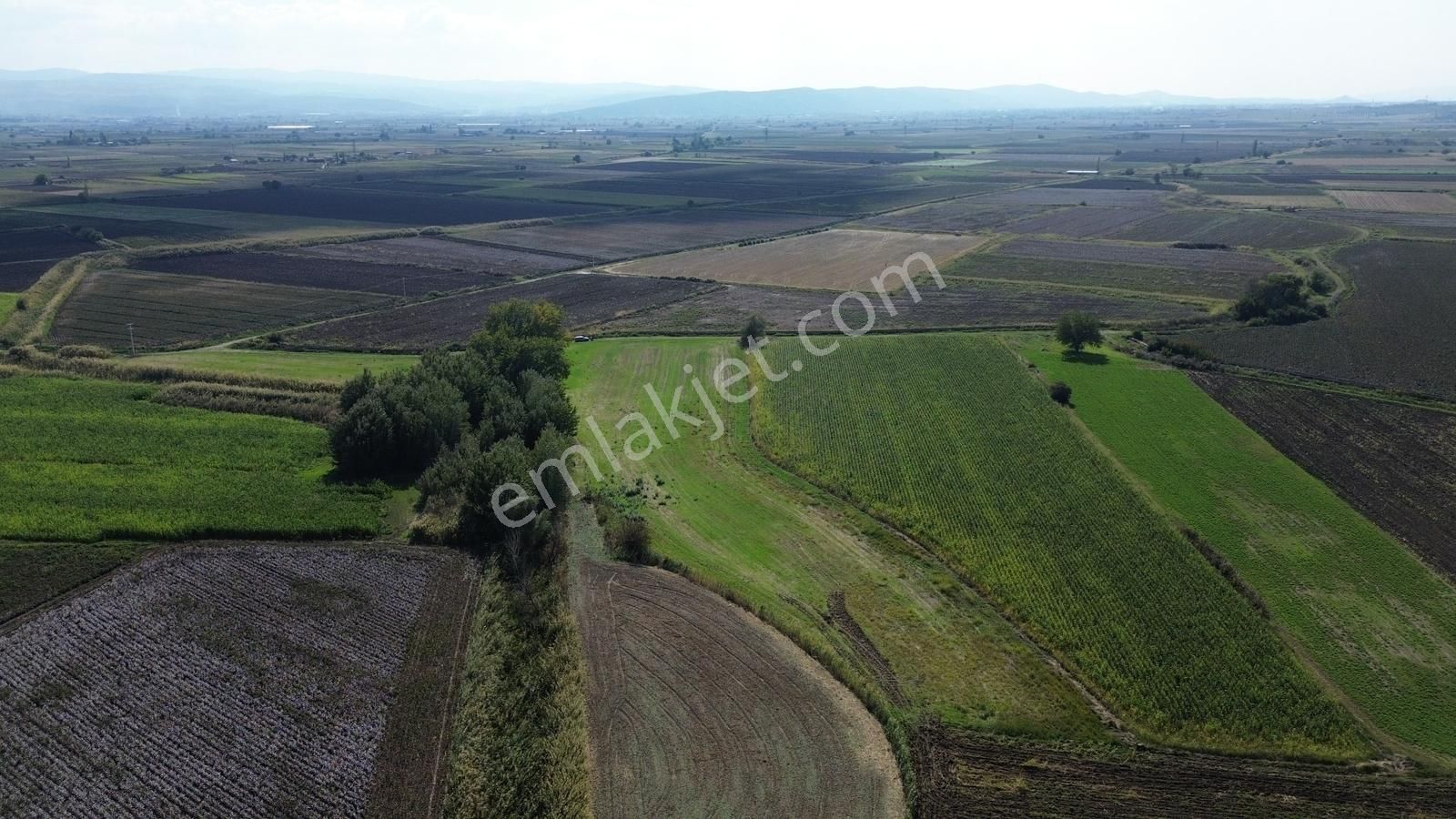 İzmir Bergama Ahmetbeylerde 10.548 M² Satılık Yatırımlık Tarla - Görsel 7