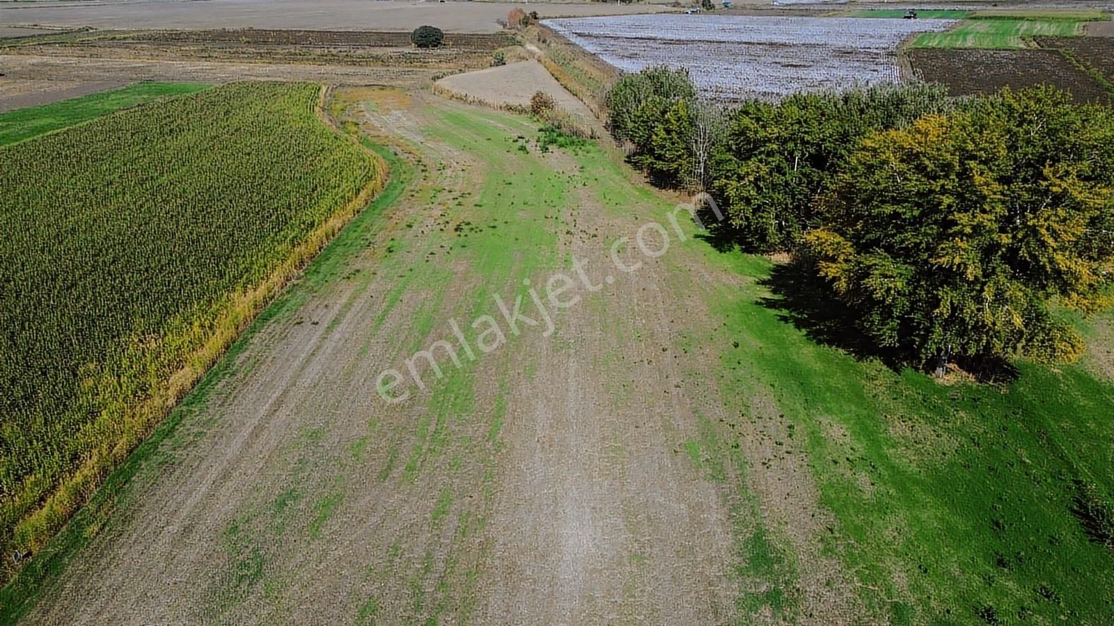 İzmir Bergama Ahmetbeylerde 10.548 M² Satılık Yatırımlık Tarla - Görsel 22