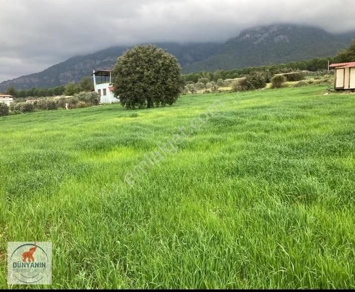 Köyceğiz Göl Ve Deniz Manzaralı 4162 M2 - Görsel 2