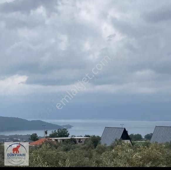 Köyceğiz Göl Ve Deniz Manzaralı 4162 M2