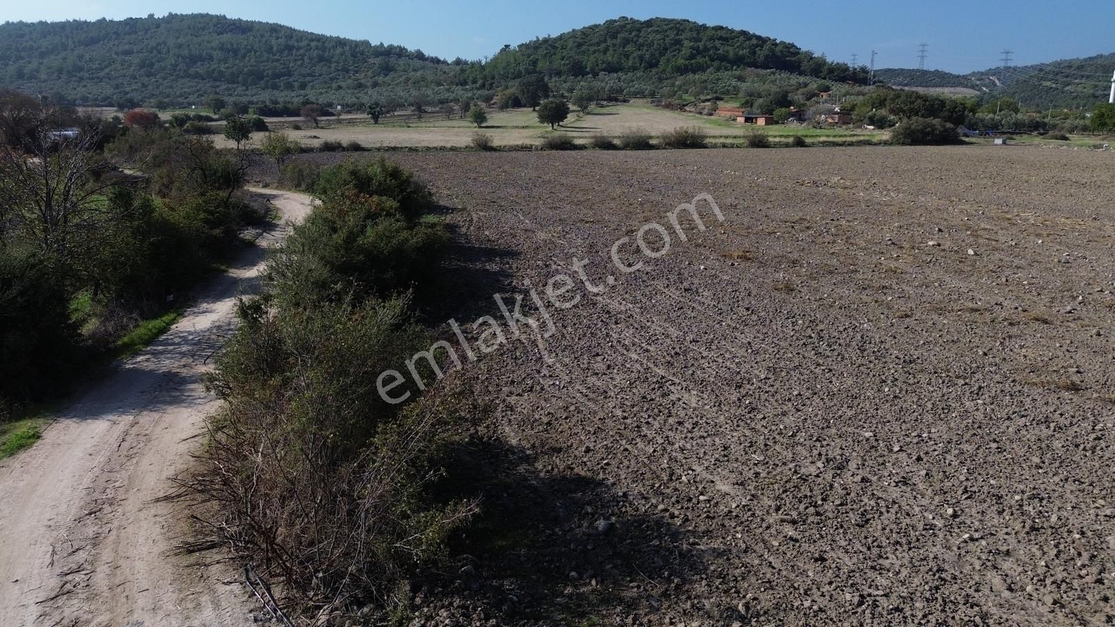 Kınık Musacalı Mahallesi Köy Civarı 16.717 M2 Satılık Tarla - Görsel 19