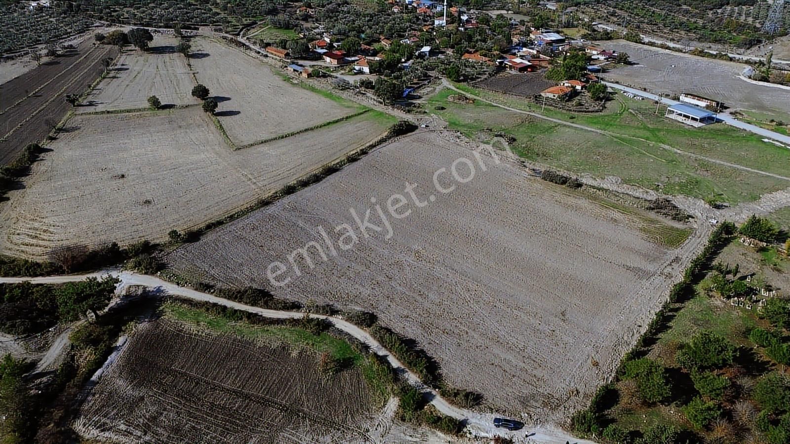 Kınık Musacalı Mahallesi Köy Civarı 16.717 M2 Satılık Tarla - Görsel 4