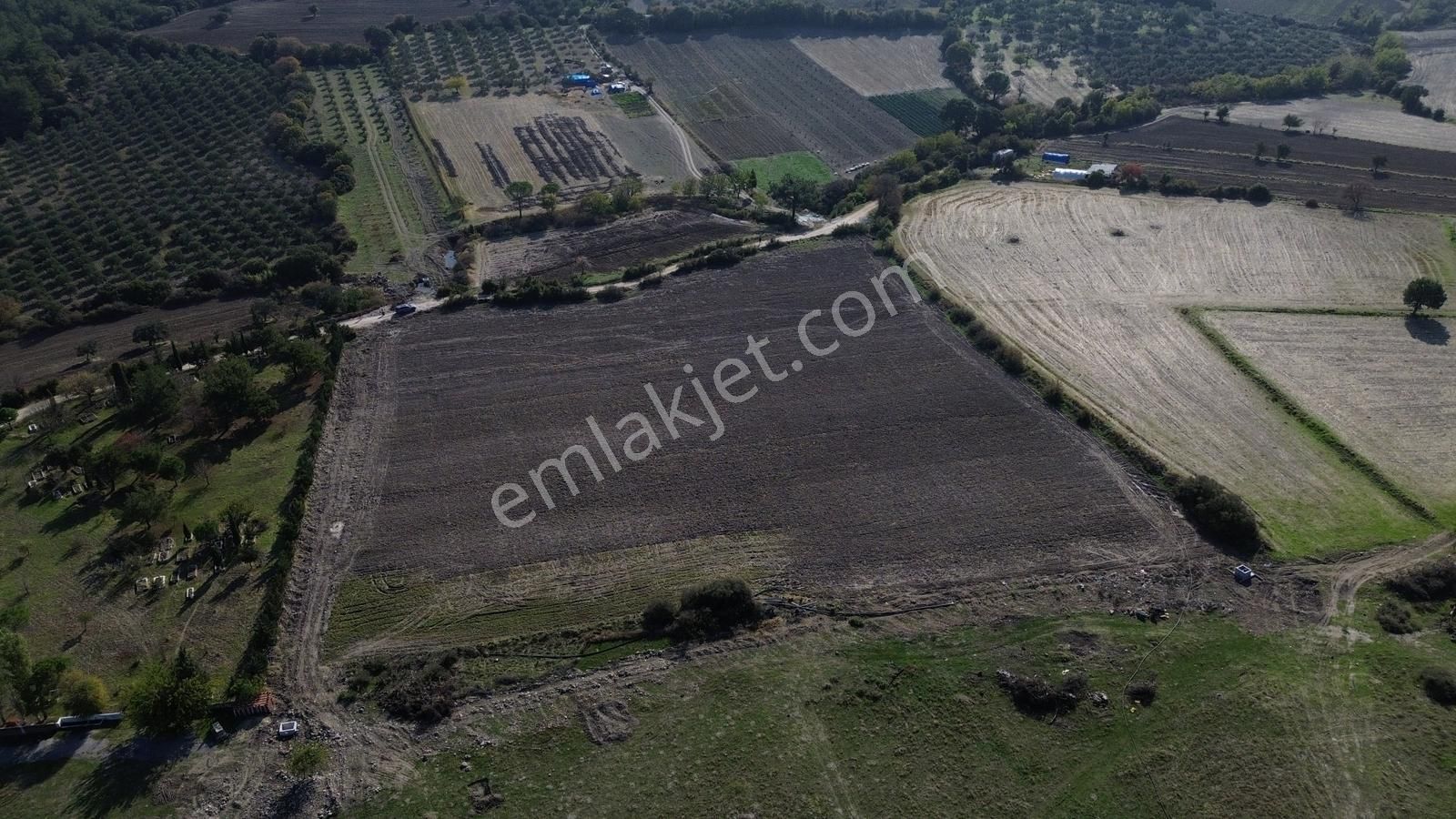 Kınık Musacalı Mahallesi Köy Civarı 16.717 M2 Satılık Tarla - Görsel 5