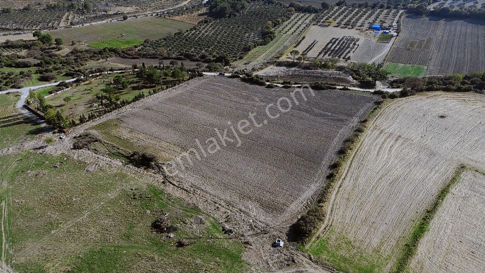 Kınık Musacalı Mahallesi Köy Civarı 16.717 M2 Satılık Tarla - Görsel 34