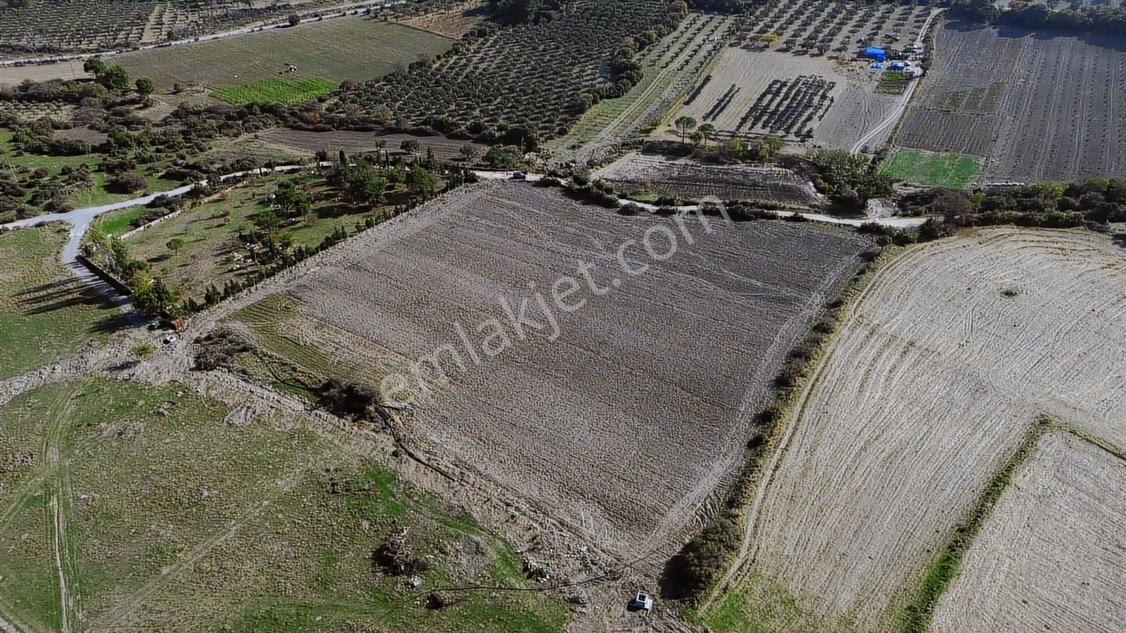 Kınık Musacalı Mahallesi Köy Civarı 16.717 M2 Satılık Tarla - Görsel 11