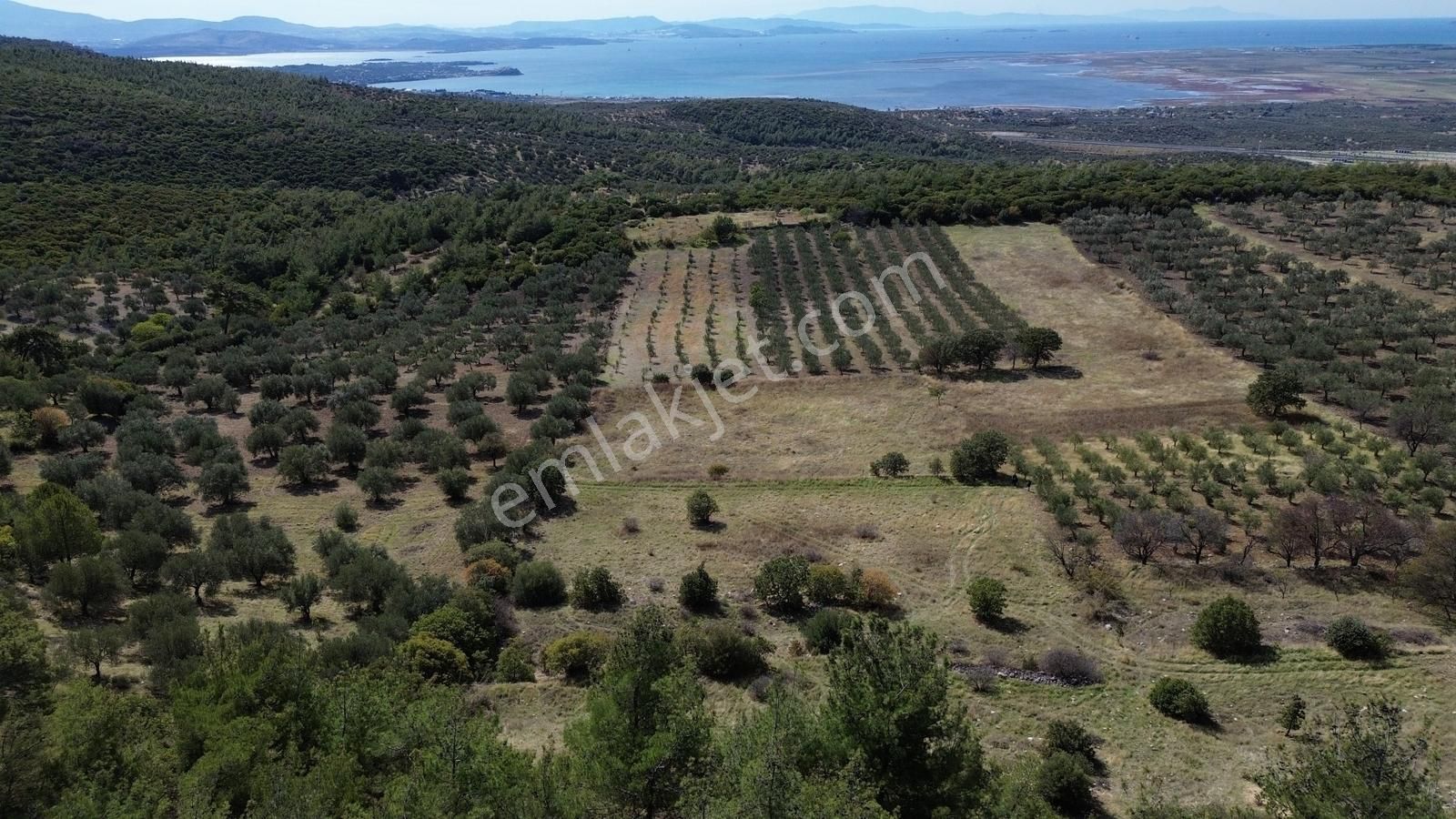 Bergama Zeytindağ Mahallesinde Satılık Tarla - Görsel 28