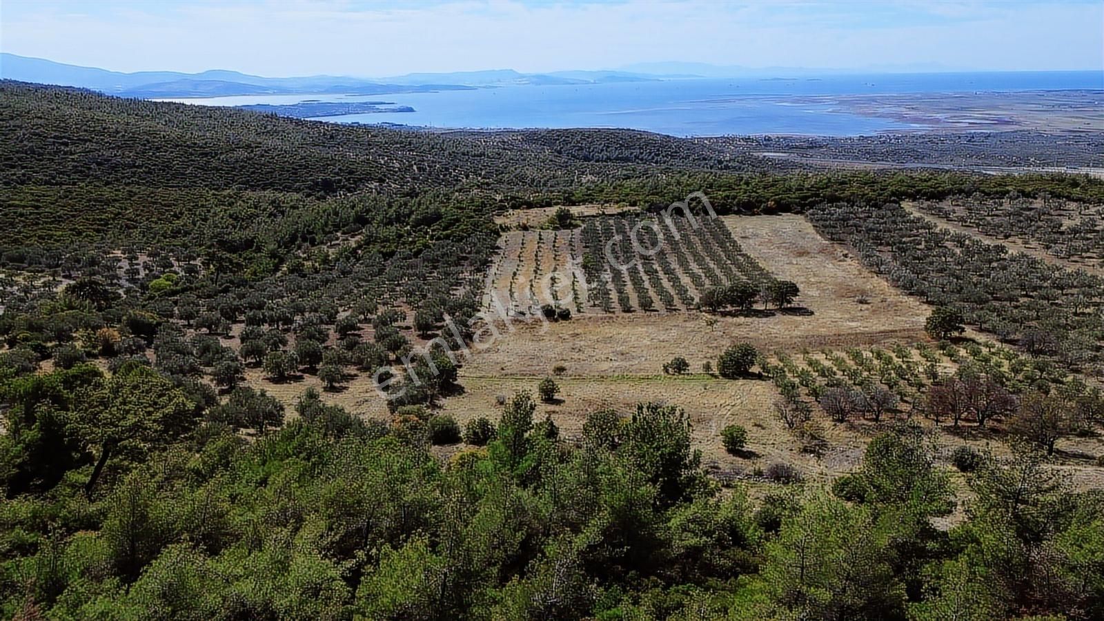 Bergama Zeytindağ Mahallesinde Satılık Tarla - Görsel 20