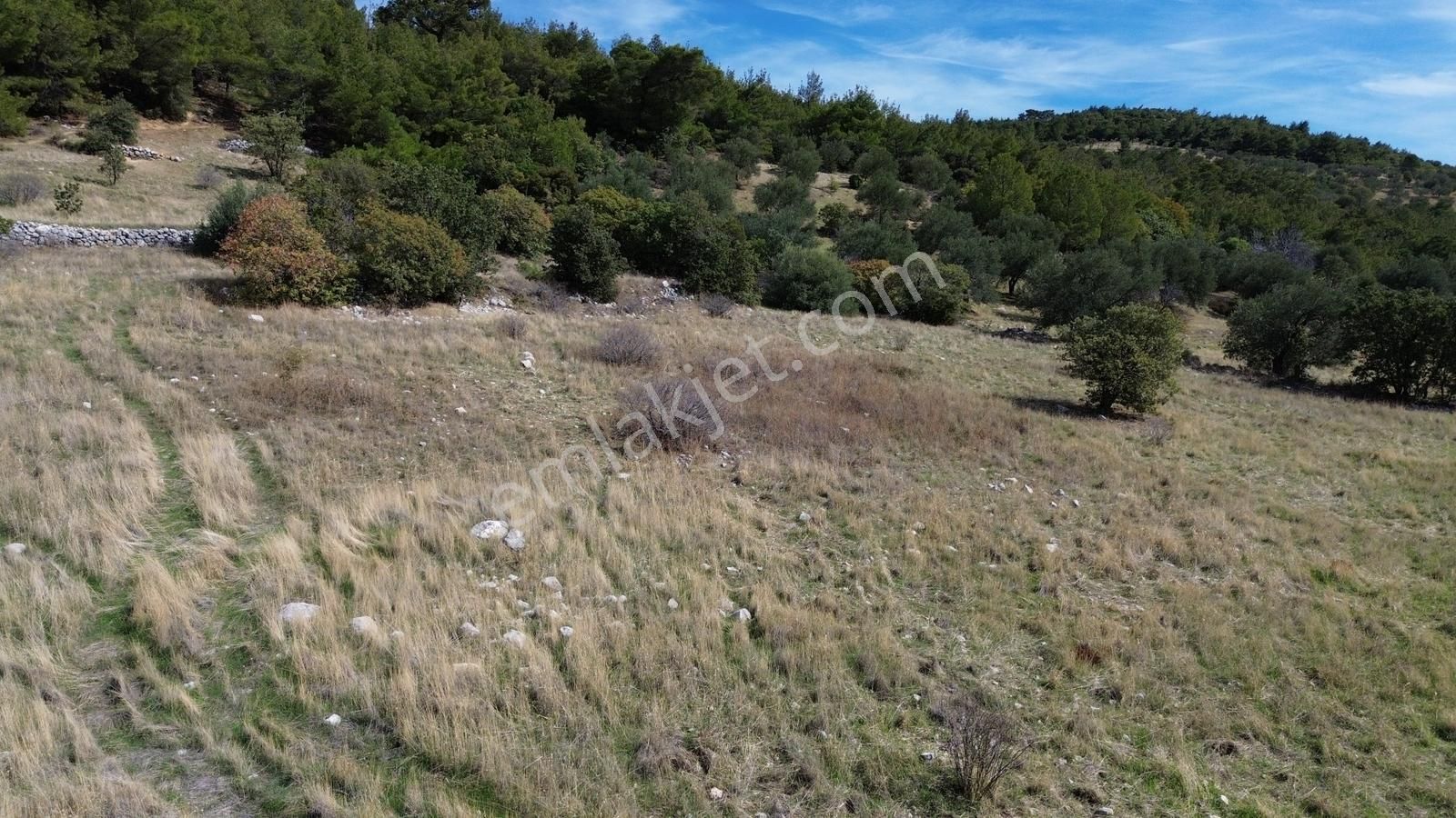 Bergama Zeytindağ Mahallesinde Satılık Tarla - Görsel 34