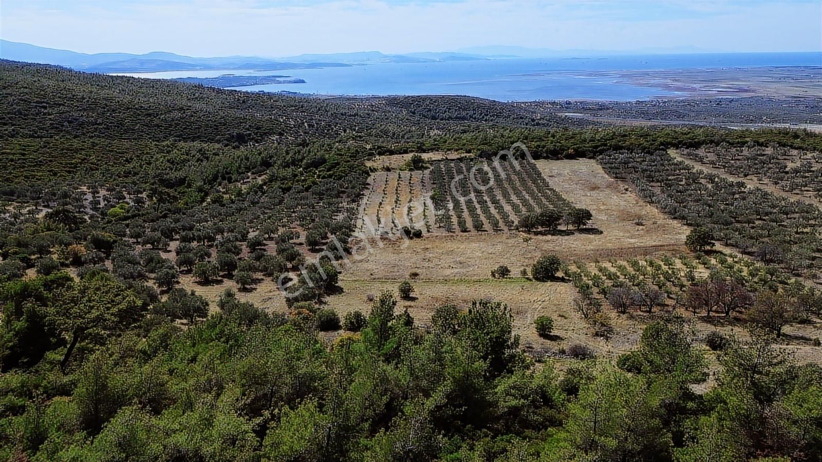 Bergama Zeytindağ Mahallesinde Satılık Tarla - Görsel 31