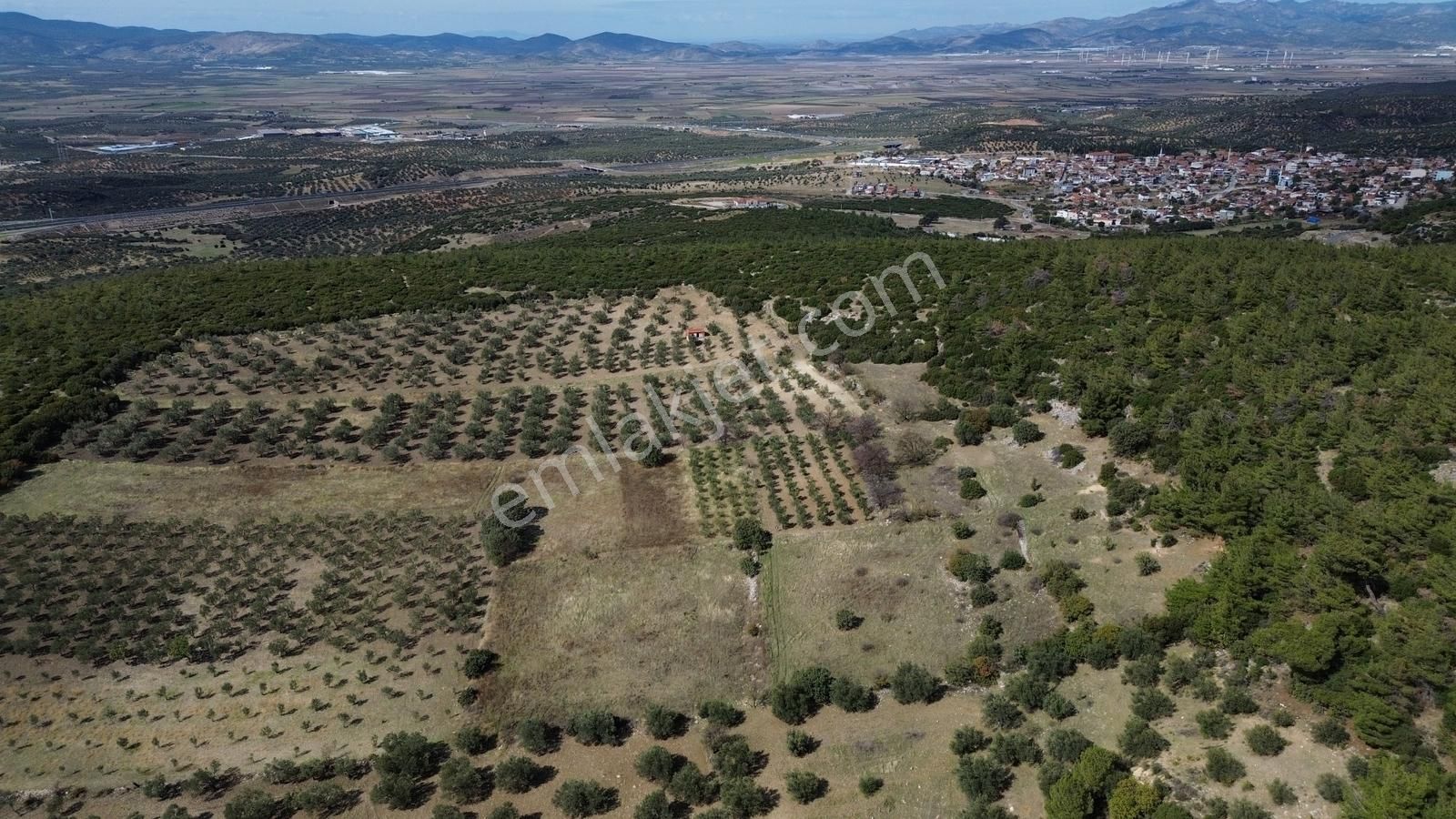 Bergama Zeytindağ Mahallesinde Satılık Tarla - Görsel 17