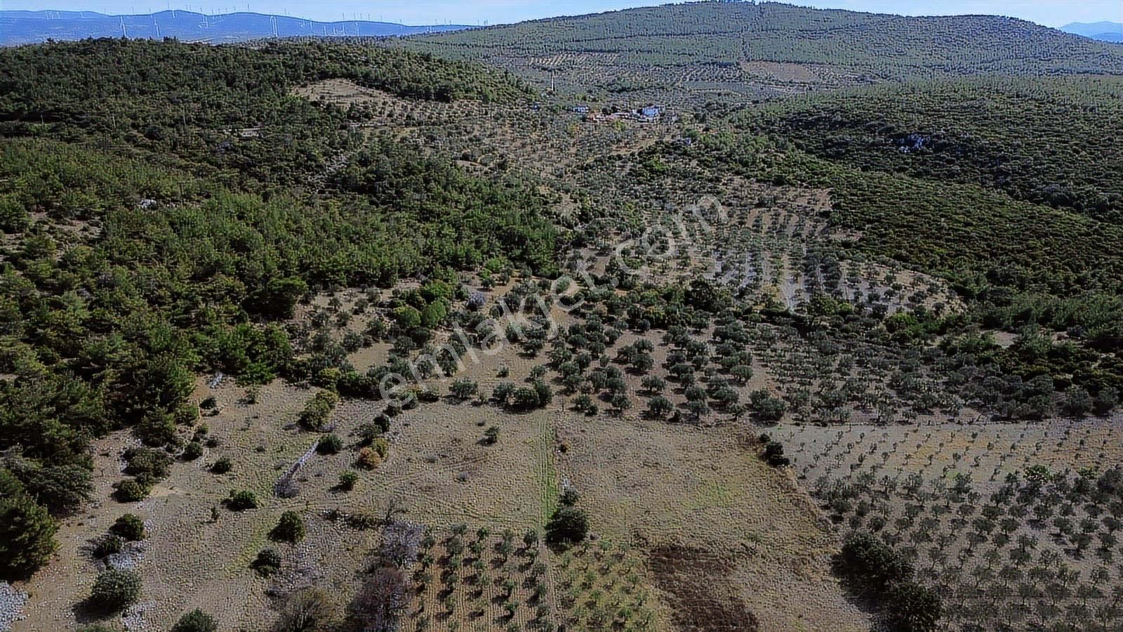 Bergama Zeytindağ Mahallesinde Satılık Tarla - Görsel 22