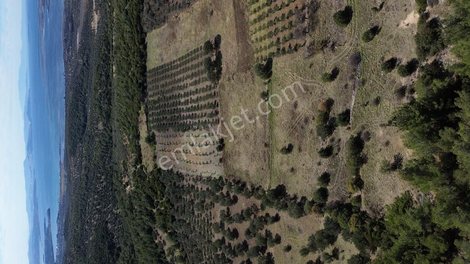 Bergama Zeytindağ Mahallesinde Satılık Tarla - Görsel 12