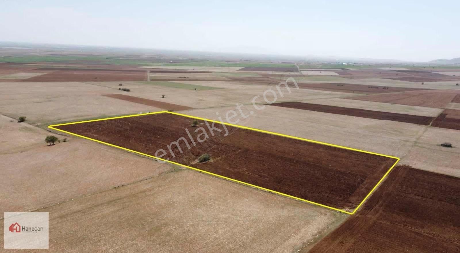 Hanedan,dan 21.727 M2 Çarıklar Sınırında Kavak Tapulamalı Tarla - Görsel 23