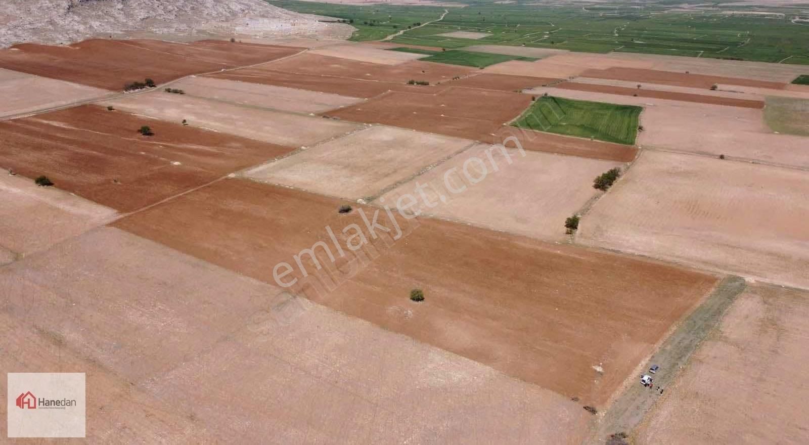 Hanedan,dan 21.727 M2 Çarıklar Sınırında Kavak Tapulamalı Tarla - Görsel 6