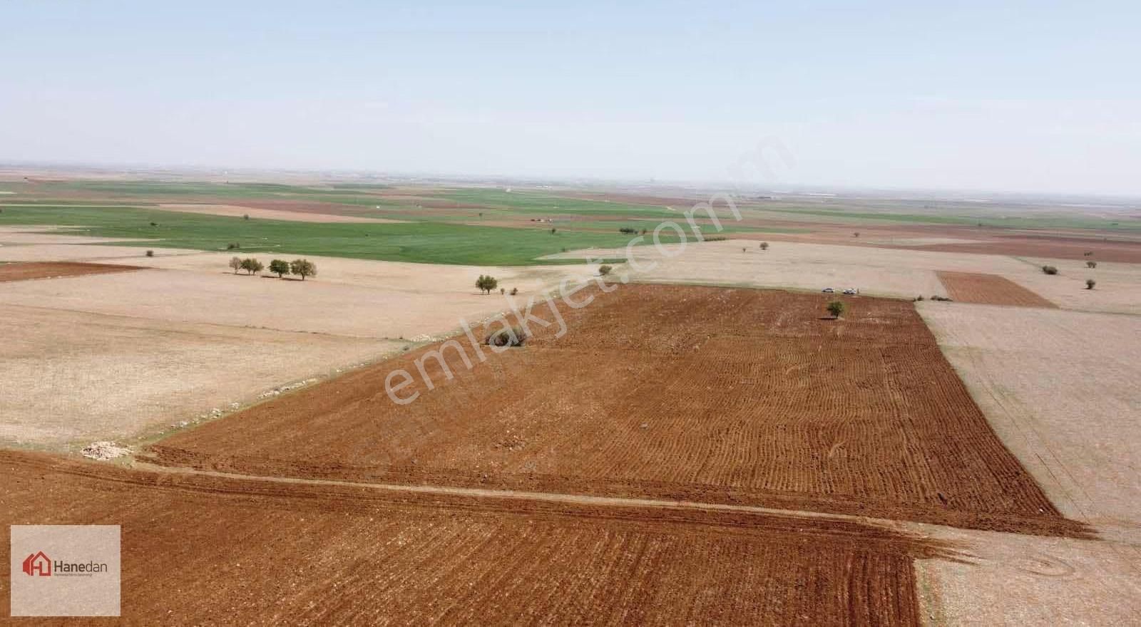 Hanedan,dan 21.727 M2 Çarıklar Sınırında Kavak Tapulamalı Tarla - Görsel 35