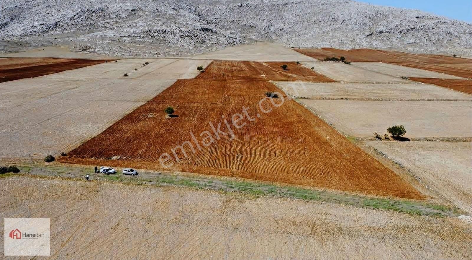 Hanedan,dan 21.727 M2 Çarıklar Sınırında Kavak Tapulamalı Tarla - Görsel 7