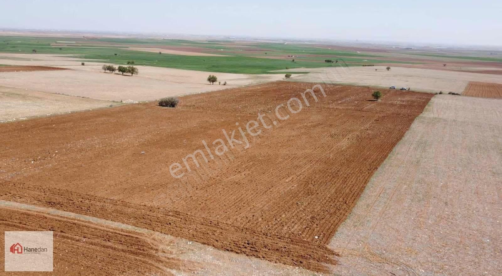 Hanedan,dan 21.727 M2 Çarıklar Sınırında Kavak Tapulamalı Tarla - Görsel 20
