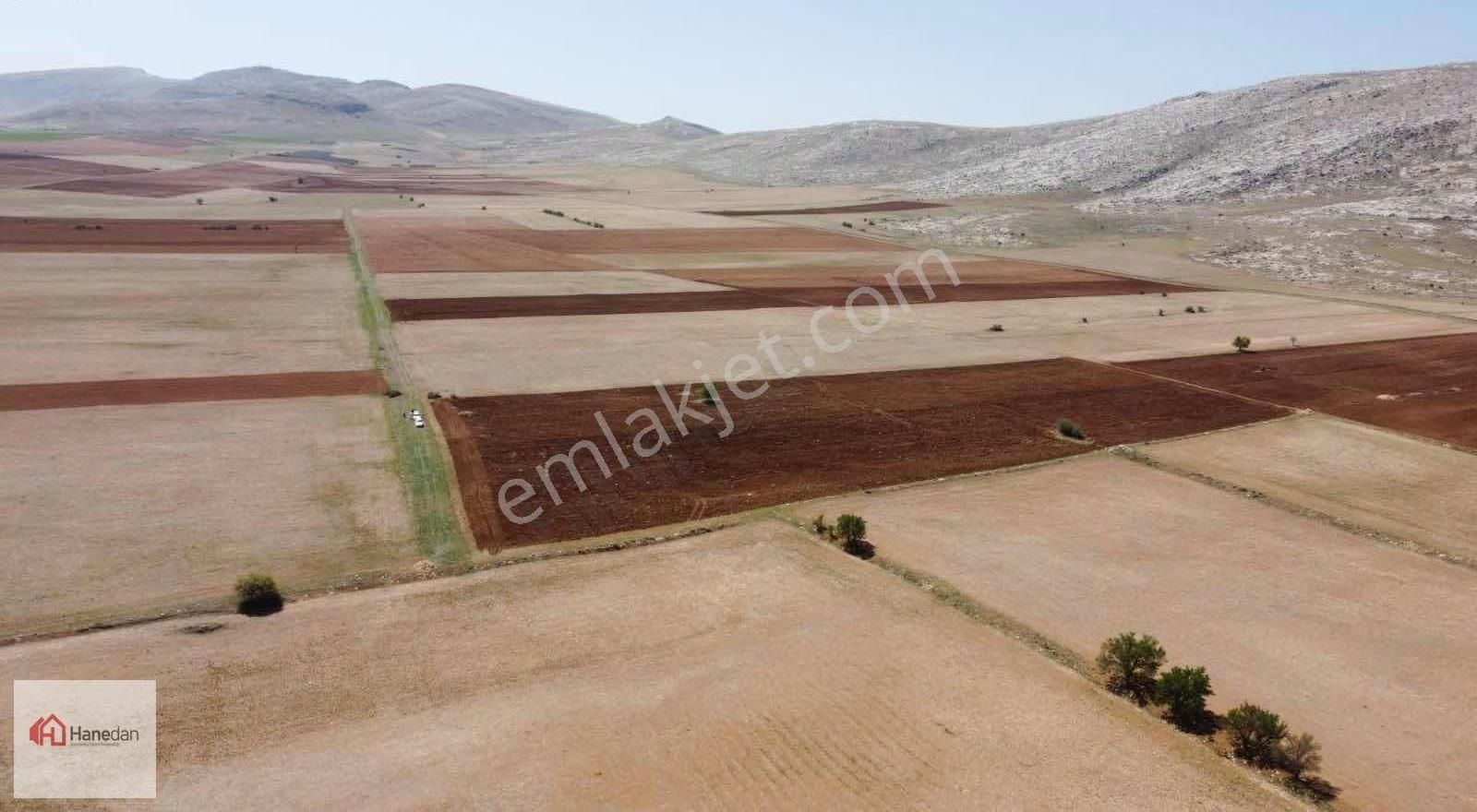 Hanedan,dan 21.727 M2 Çarıklar Sınırında Kavak Tapulamalı Tarla - Görsel 30