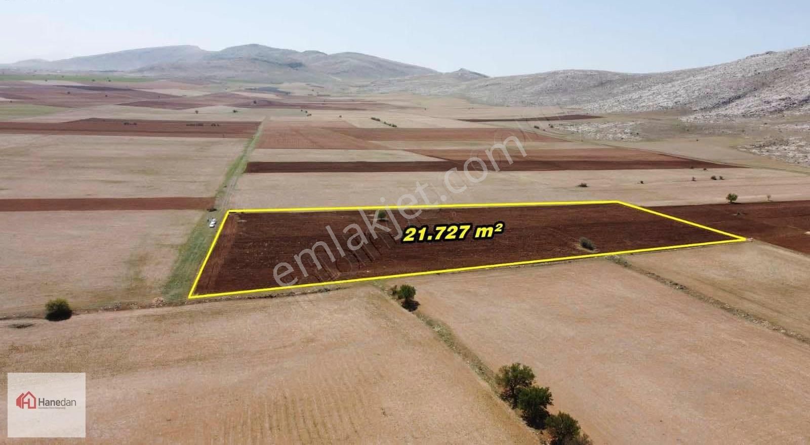 Hanedan,dan 21.727 M2 Çarıklar Sınırında Kavak Tapulamalı Tarla - Görsel 9