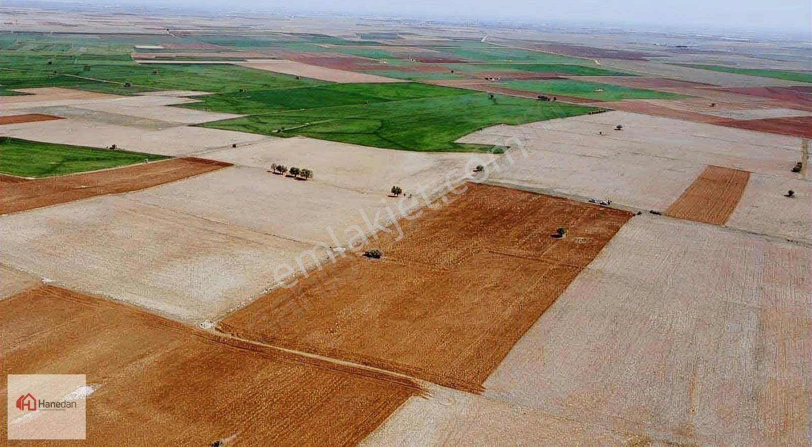 Hanedan,dan 21.727 M2 Çarıklar Sınırında Kavak Tapulamalı Tarla - Görsel 3