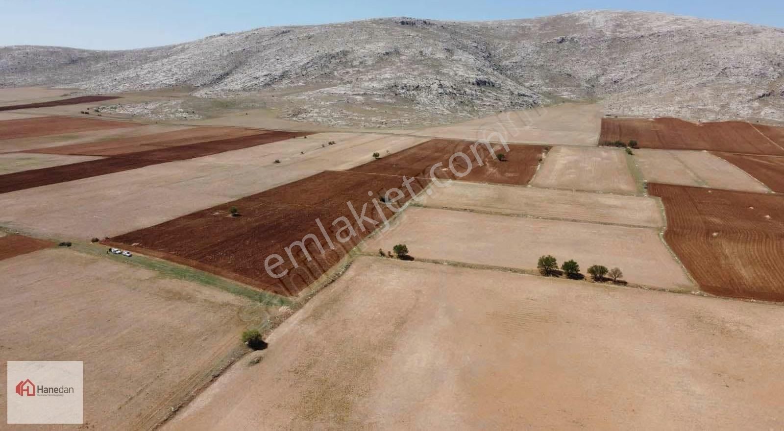 Hanedan,dan 21.727 M2 Çarıklar Sınırında Kavak Tapulamalı Tarla - Görsel 16