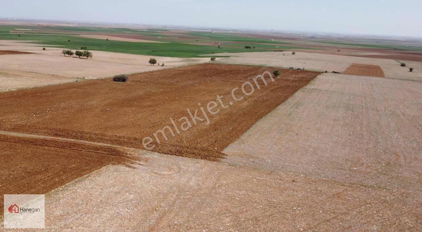 Hanedan,dan 21.727 M2 Çarıklar Sınırında Kavak Tapulamalı Tarla - Görsel 34