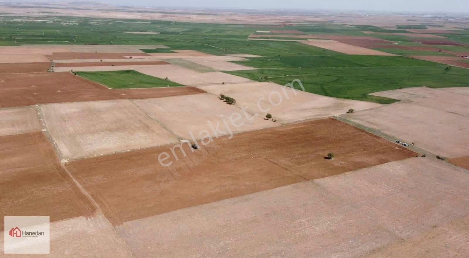Hanedan,dan 21.727 M2 Çarıklar Sınırında Kavak Tapulamalı Tarla - Görsel 5
