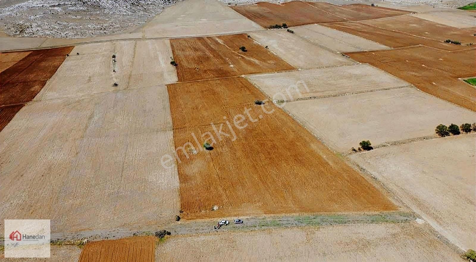 Hanedan,dan 21.727 M2 Çarıklar Sınırında Kavak Tapulamalı Tarla - Görsel 19