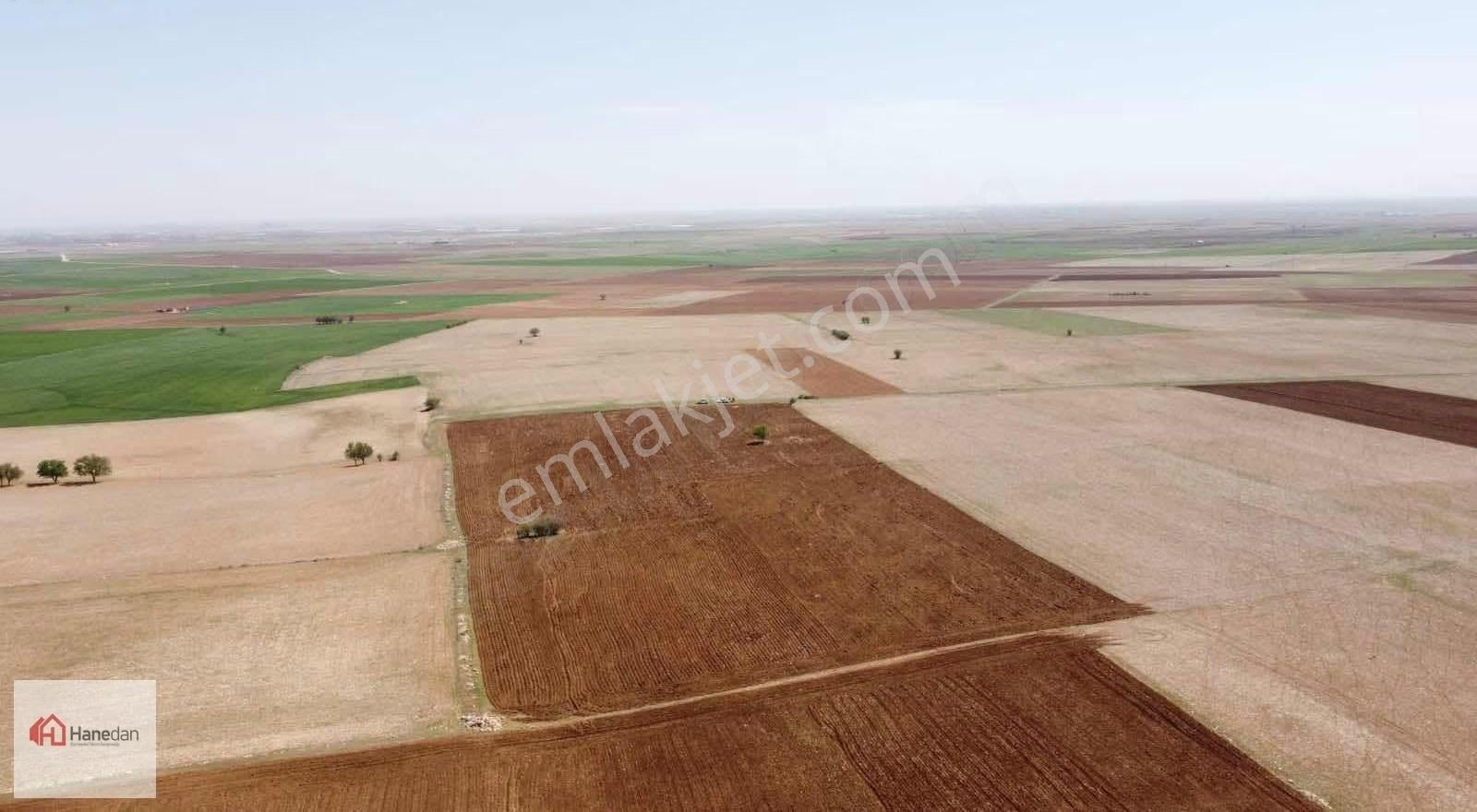 Hanedan,dan 21.727 M2 Çarıklar Sınırında Kavak Tapulamalı Tarla - Görsel 26