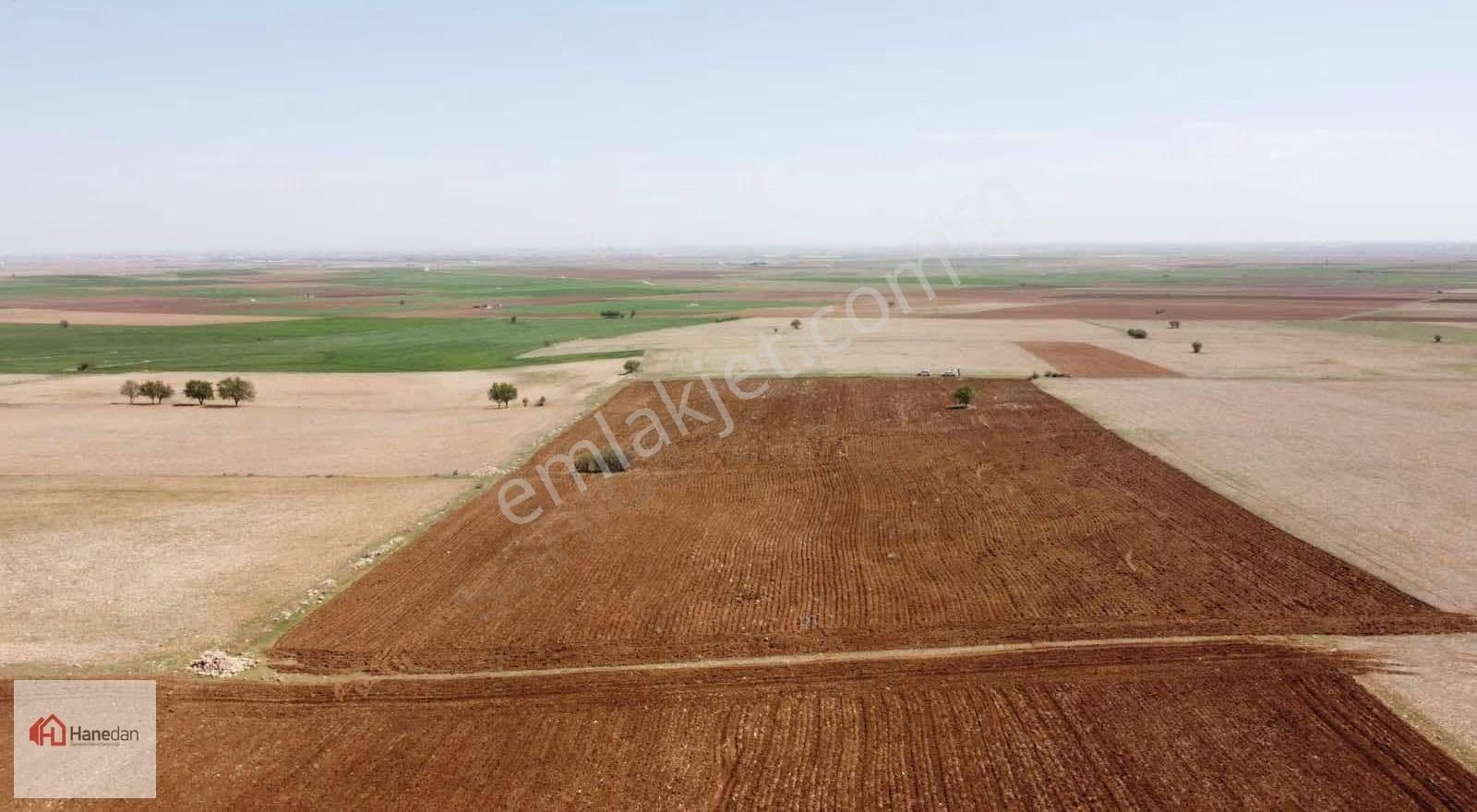 Hanedan,dan 21.727 M2 Çarıklar Sınırında Kavak Tapulamalı Tarla - Görsel 25