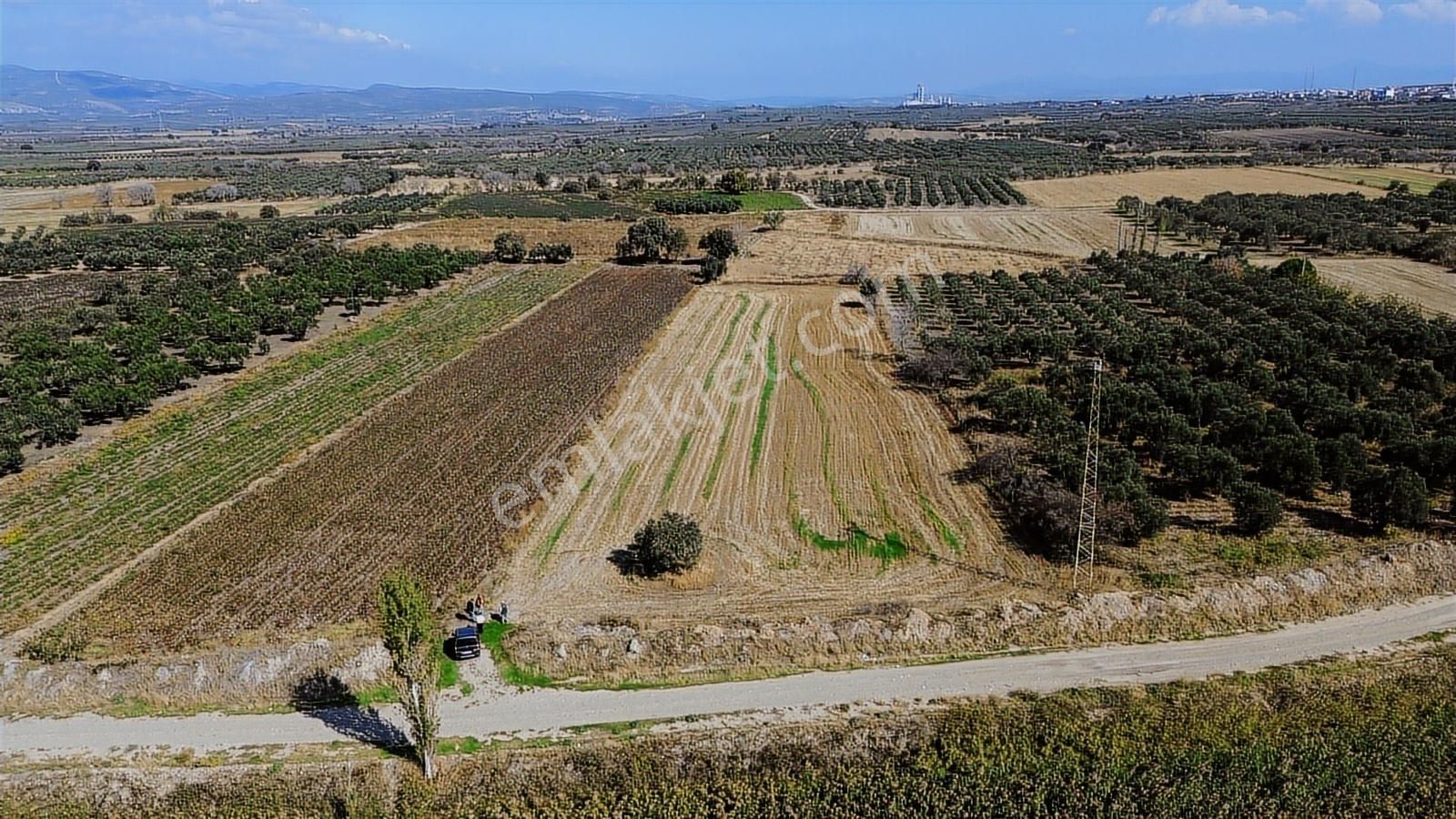 Yolu, Suyu Ve Elektriği Hazır | Kınık Cumalıda 7.150 M² Satılık - Görsel 15