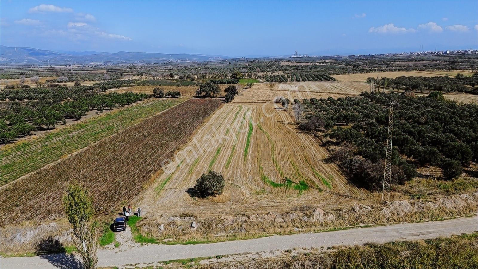 Yolu, Suyu Ve Elektriği Hazır | Kınık Cumalıda 7.150 M² Satılık - Görsel 14