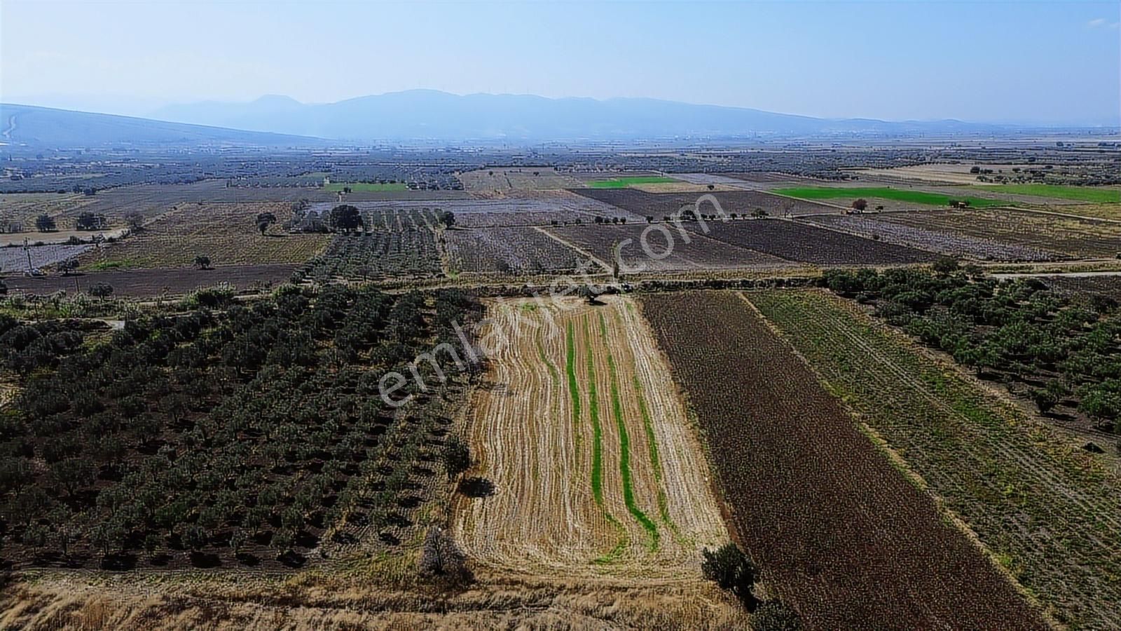 Yolu, Suyu Ve Elektriği Hazır | Kınık Cumalıda 7.150 M² Satılık - Görsel 24