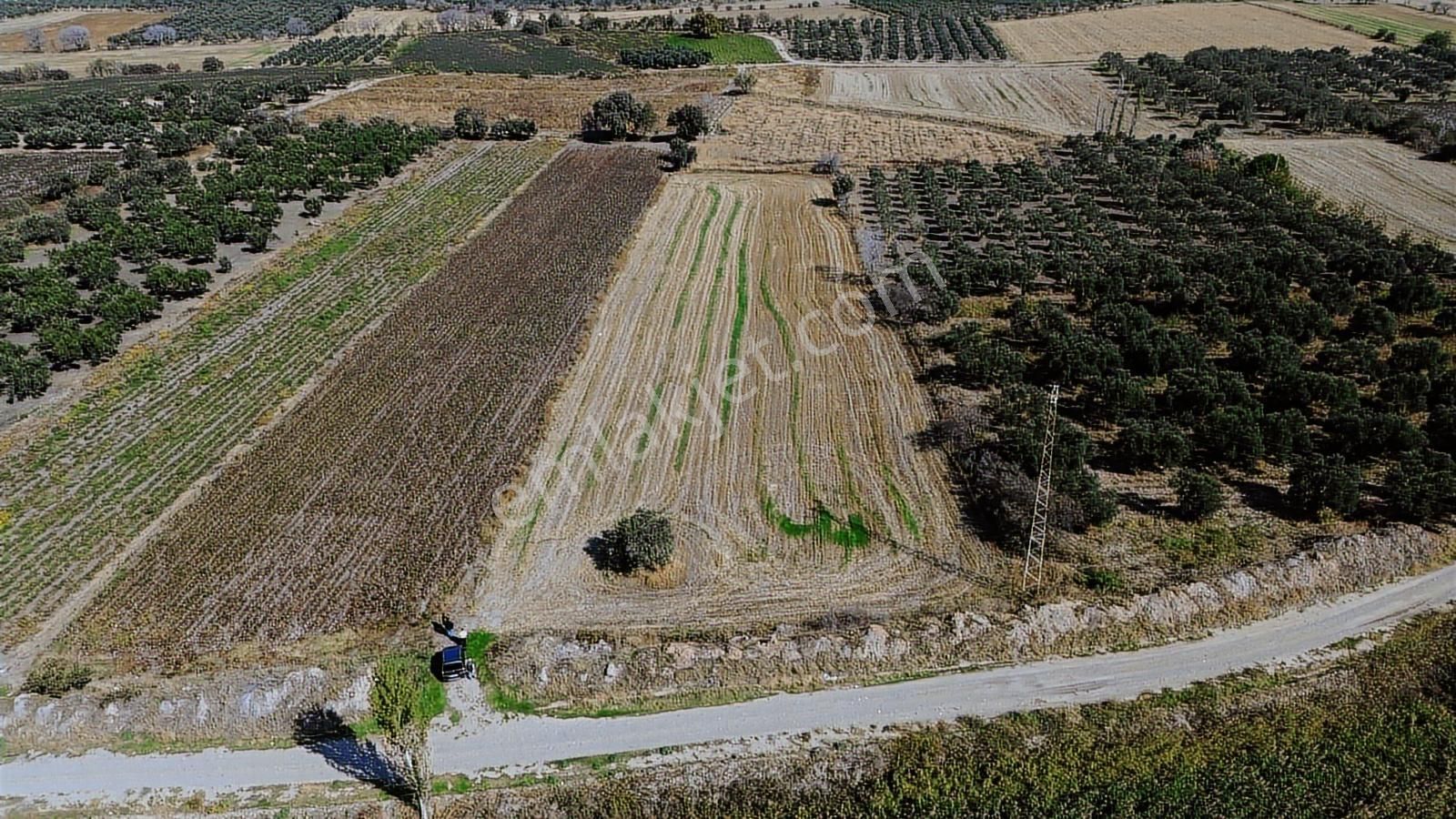 Yolu, Suyu Ve Elektriği Hazır | Kınık Cumalıda 7.150 M² Satılık - Görsel 17