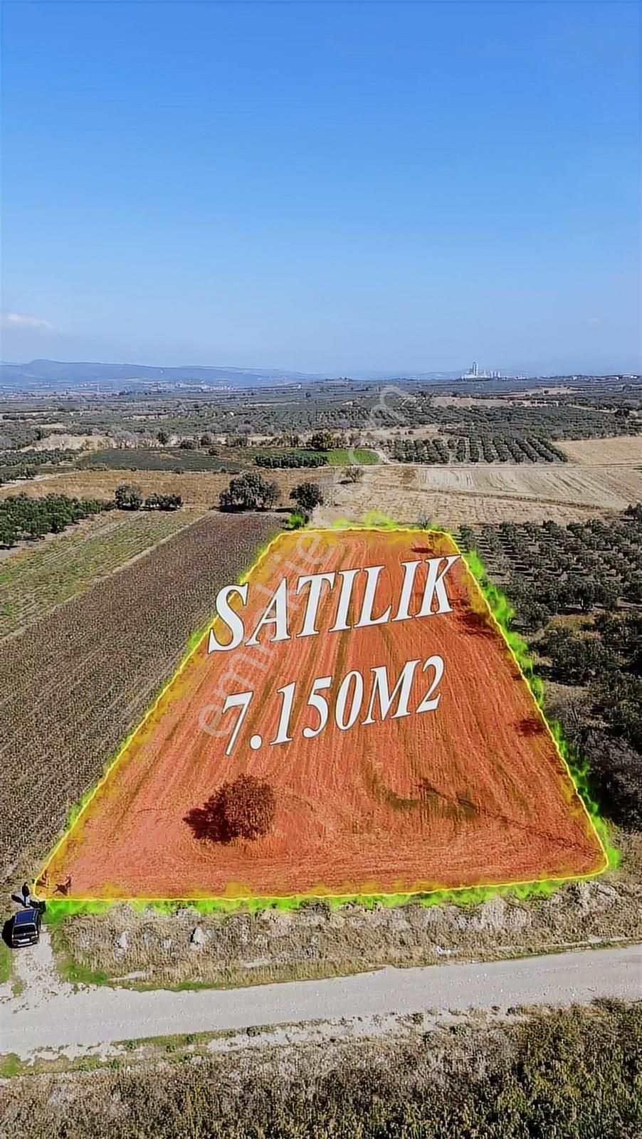 Yolu, Suyu Ve Elektriği Hazır | Kınık Cumalıda 7.150 M² Satılık - Görsel 4