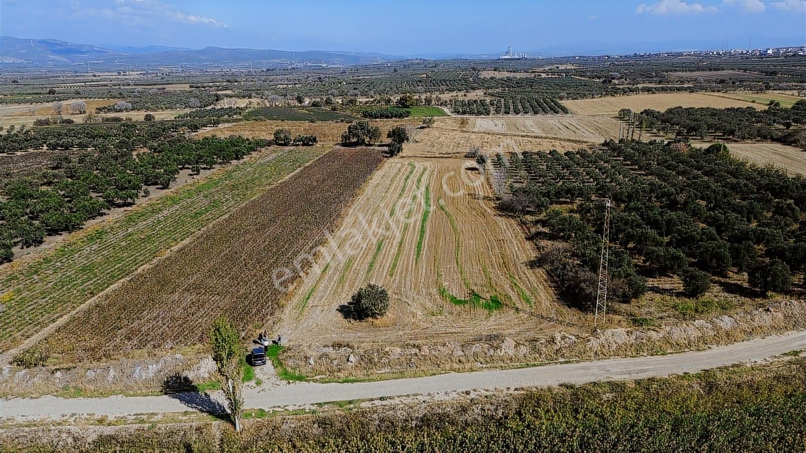 Yolu, Suyu Ve Elektriği Hazır | Kınık Cumalıda 7.150 M² Satılık - Görsel 16