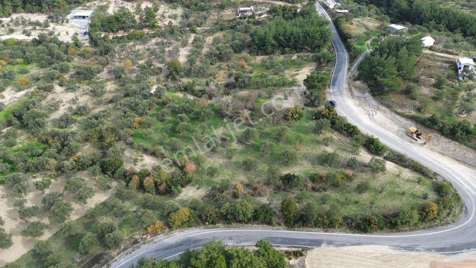 Asfalt Yola Sıfır | Köşe Parsel | Yatırımlık Zeytinlik - Görsel 31