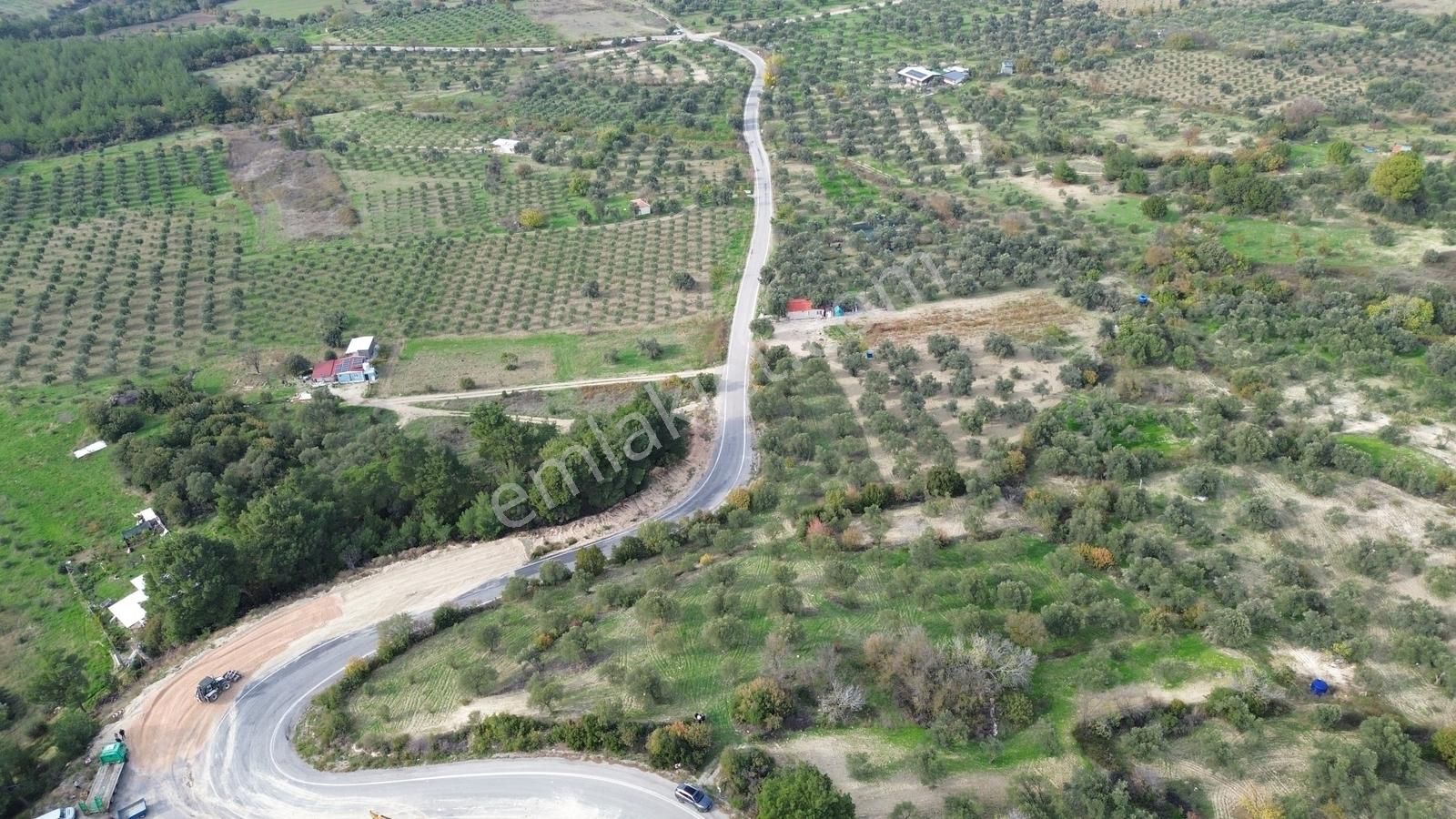 Asfalt Yola Sıfır | Köşe Parsel | Yatırımlık Zeytinlik - Görsel 23