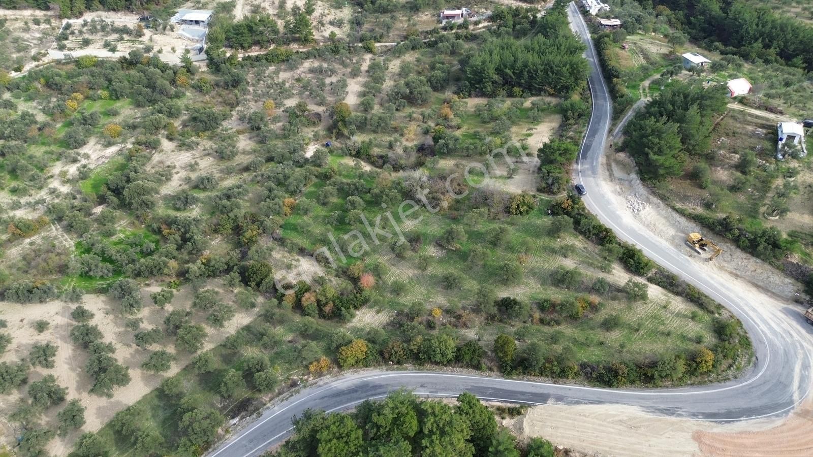 Asfalt Yola Sıfır | Köşe Parsel | Yatırımlık Zeytinlik - Görsel 30
