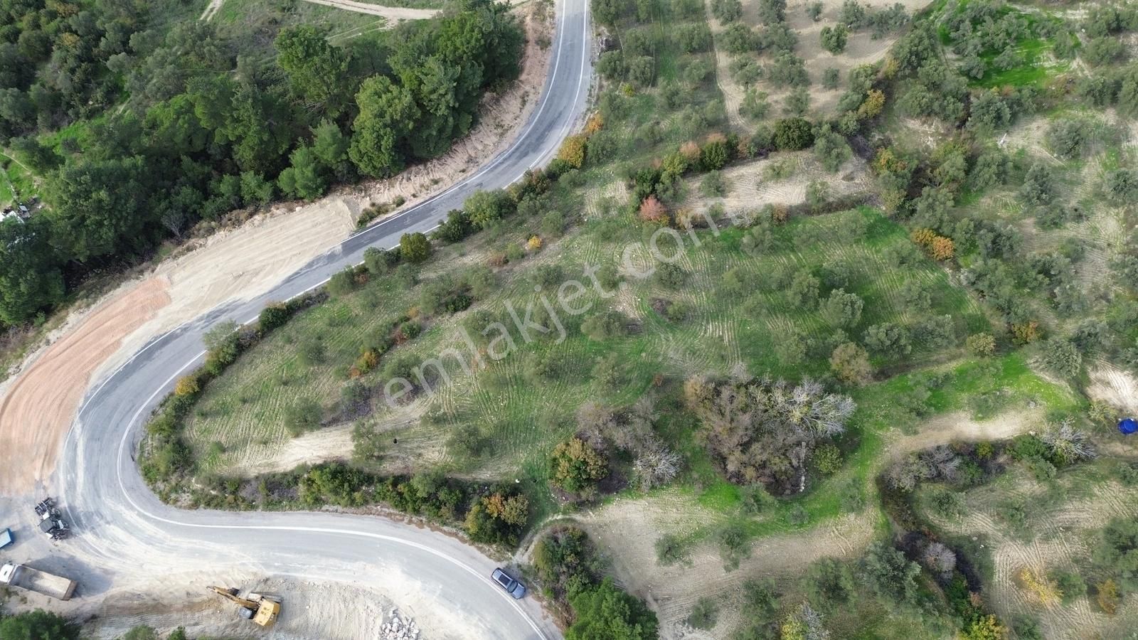 Asfalt Yola Sıfır | Köşe Parsel | Yatırımlık Zeytinlik - Görsel 4
