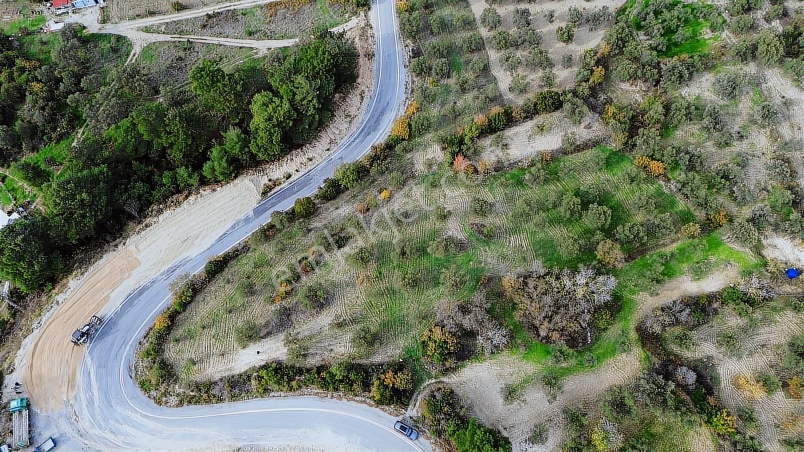 Asfalt Yola Sıfır | Köşe Parsel | Yatırımlık Zeytinlik