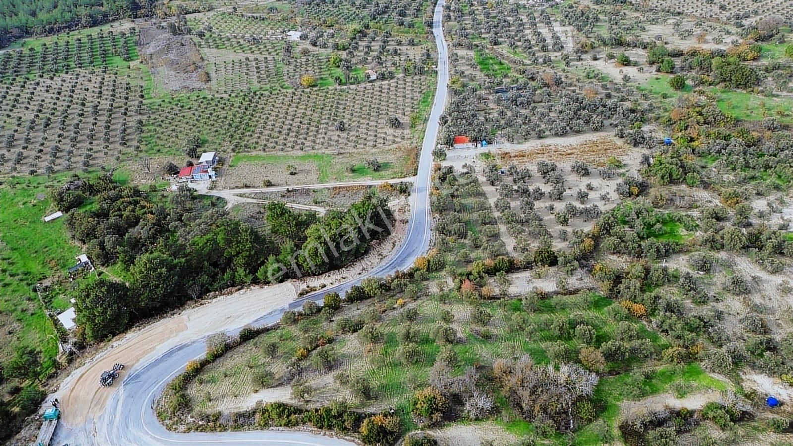 Asfalt Yola Sıfır | Köşe Parsel | Yatırımlık Zeytinlik - Görsel 5