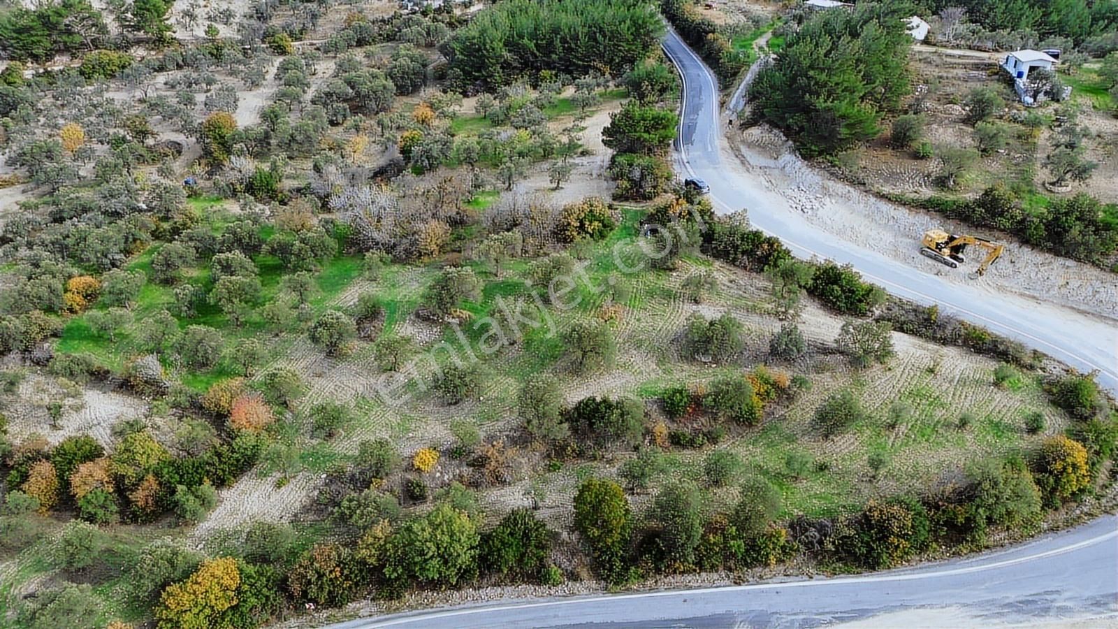Asfalt Yola Sıfır | Köşe Parsel | Yatırımlık Zeytinlik - Görsel 11
