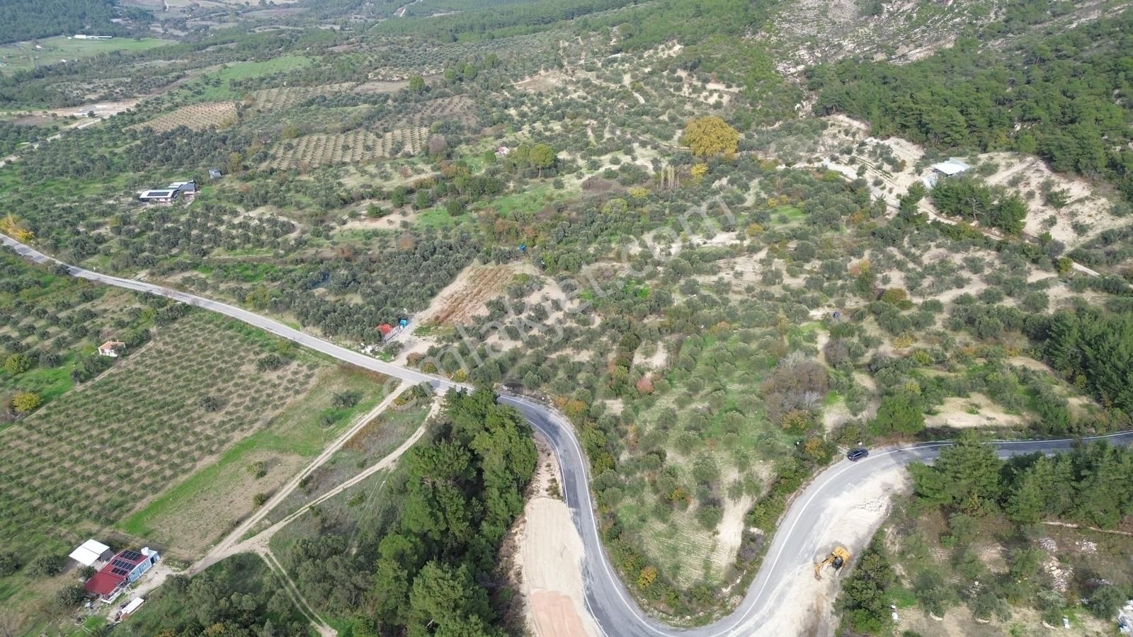 Asfalt Yola Sıfır | Köşe Parsel | Yatırımlık Zeytinlik - Görsel 27