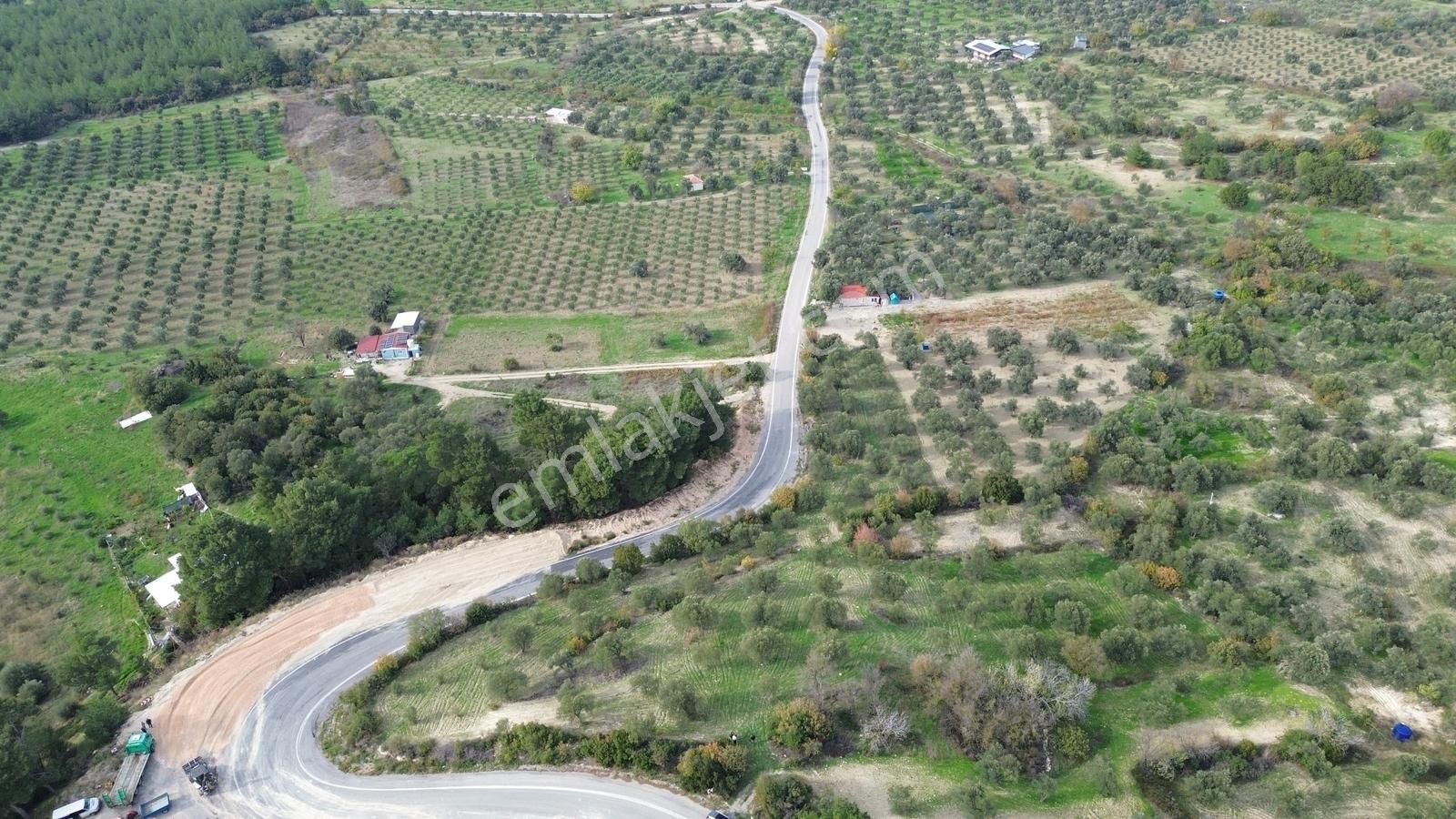 Asfalt Yola Sıfır | Köşe Parsel | Yatırımlık Zeytinlik - Görsel 18