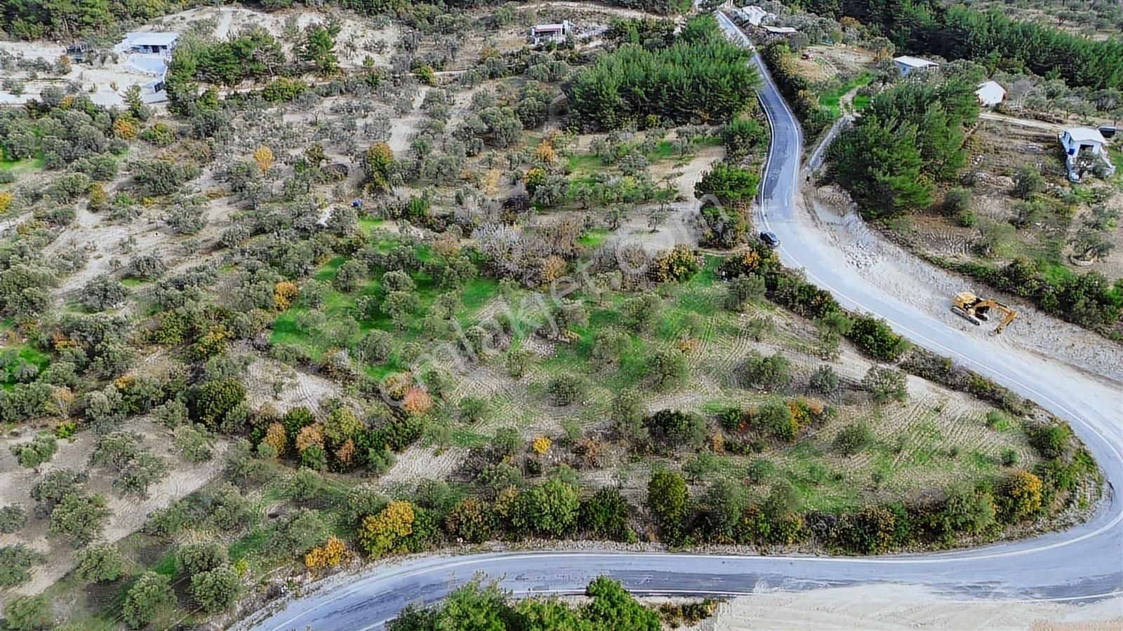 Asfalt Yola Sıfır | Köşe Parsel | Yatırımlık Zeytinlik - Görsel 7