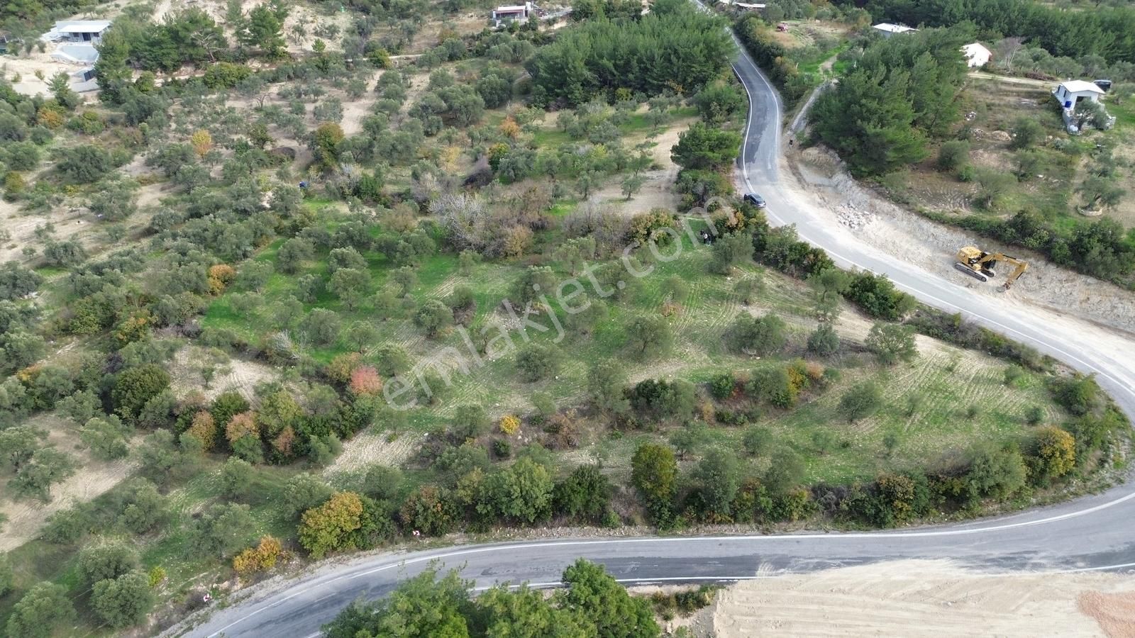 Asfalt Yola Sıfır | Köşe Parsel | Yatırımlık Zeytinlik - Görsel 8