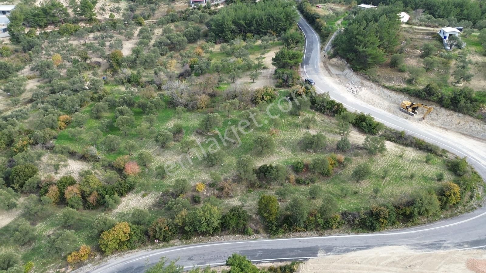 Asfalt Yola Sıfır | Köşe Parsel | Yatırımlık Zeytinlik - Görsel 2