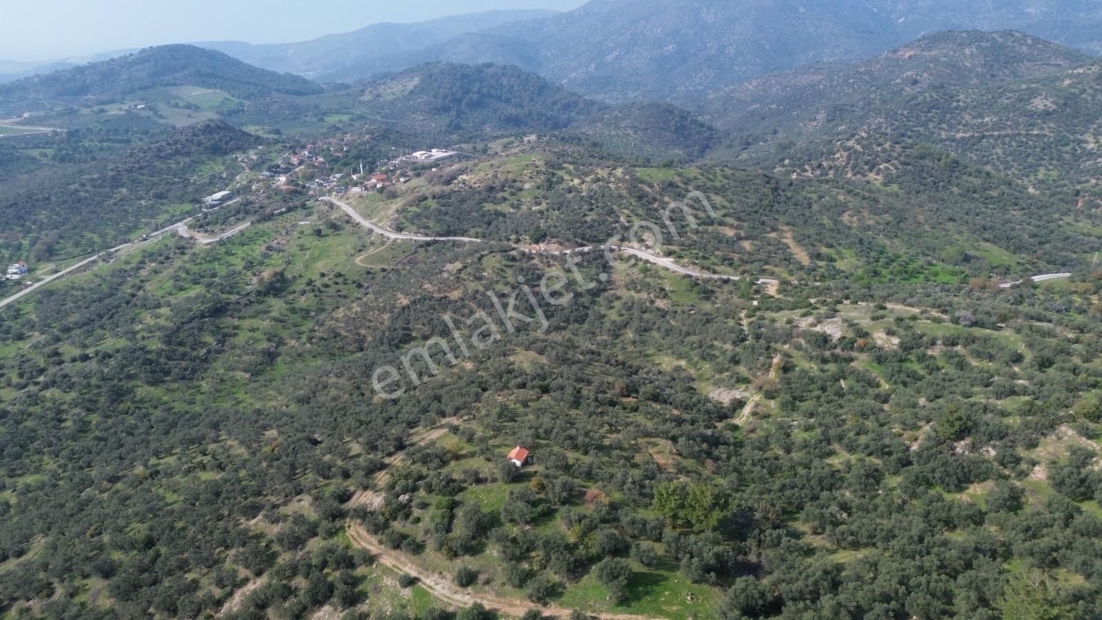 İzmir Dikili Yenice Mahallesinde Satılık Zeytinlik - Görsel 30