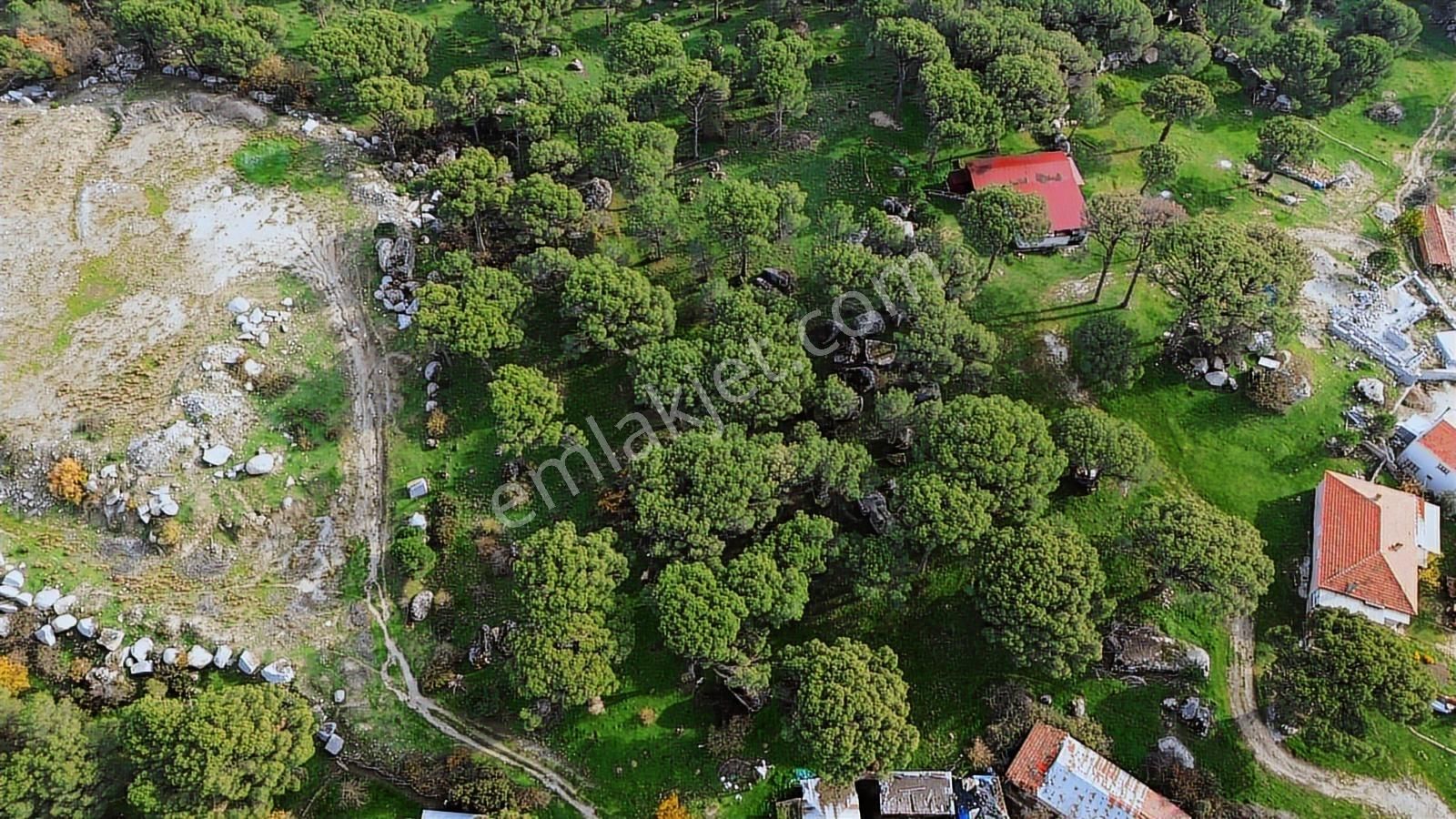 Bergama Kozak Aşağıcuma Mah. İmara 60 Mt Mesafede Satılık Bahçe - Görsel 8